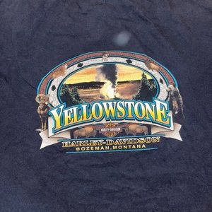 Harley Davidson Cropped Graphic Tee